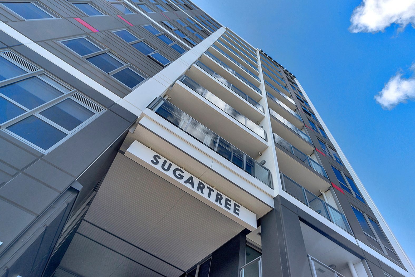 Sugartree Prima